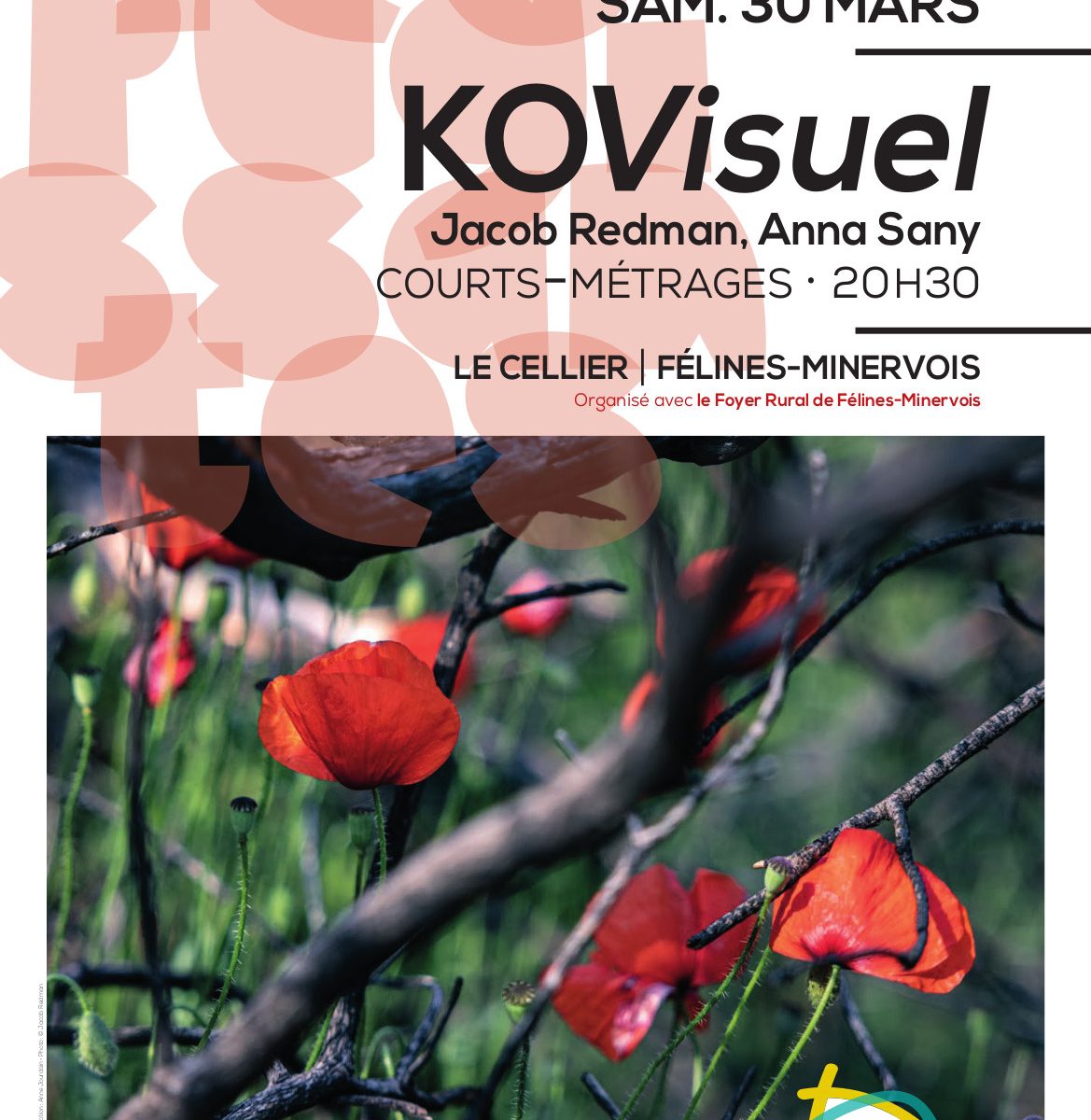 Dans le cadre de la programmation culturelles " Les Rugissantes "# 2, les Ateliers du Vivant vous invitent à une soirée de projections de courts-métrages par KOVISUEL SAMEDI 30 MARS 2024 à 20h30 au cellier.