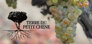 Domaine viticole " Terre du Petit Chêne " : vins, balades vigneronnes (botaniques, géologiques), réceptions et séminaires