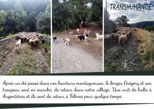 Radio Félines, les dernières infos du 4 octobre 2024