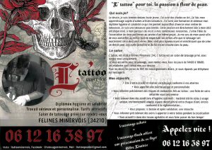 Radio Félines, les dernières infos du 22 novembre 2024