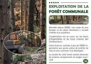 Radio Félines, les dernières infos du 20 décembre 2024