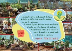 Radio Félines, les dernières infos du 17 janvier 2025