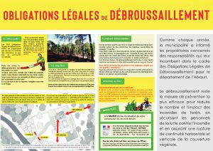 Radio Félines, les dernières infos du 14 février 2025