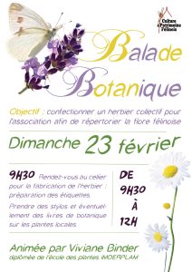L'association Culture et Patrimoine Félinois vous invite à son rendez-vous mensuel pour finaliser l’herbier collectif qui répertorie la flore félinoise DIMANCHE 23 FÉVRIER 2025 de 9h30 à 12h au cellier.