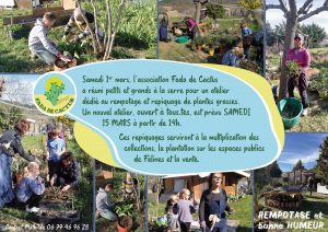 Radio Félines, les dernières infos du 14 mars 2025