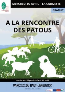 Radio Félines, les dernières infos du 28 mars 2025