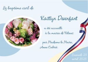 Radio Félines, les dernières infos du 6 mai 2025