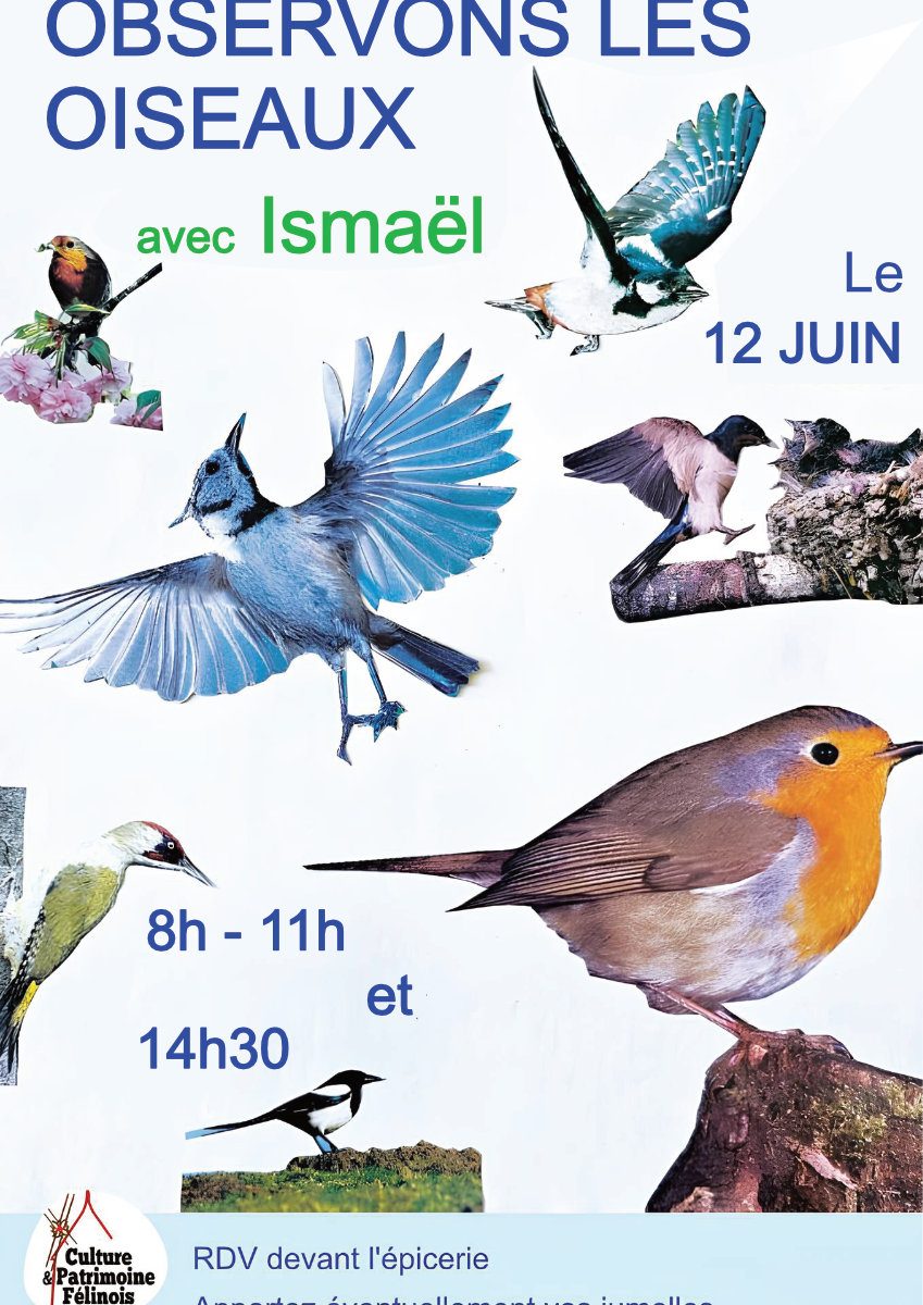 L'association Culture et Patrimoine Félinois vous invite à une journée d'observation des oiseaux avec Ismaël JEUDI 12 JUIN 2025