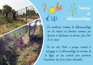 Radio Félines, les dernières infos du 29 août 2025