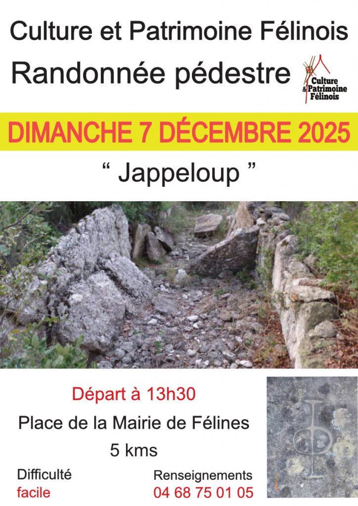 L'association Culture & Patrimoine Félinois vous convie à une randonnée pédestre DIMANCHE 7 DÉCEMBRE 2025 - Départ à 13h30 Place de la Mairie