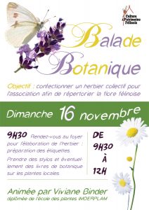 L'association Culture & Patrimoine Félinois vous invite à son rendez-vous mensuel animé par Viviane Binder DIMANCHE 16 NOVEMBRE 2025 à partir de 9h30 au foyer pour poursuivre la confection d'un herbier répertoriant la flore locale.