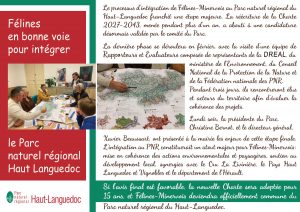 Radio Félines, les dernières infos du 28 novembre 2025