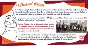 Radio Félines, les dernières infos du 28 novembre 2025