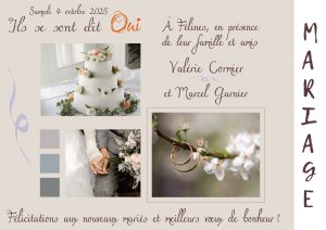 Radio Félines, les dernières infos du 28 novembre 2025