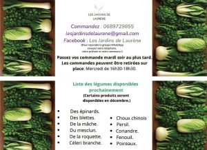 Radio Félines, les dernières infos du 28 novembre 2025