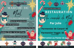 Radio Félines, les dernières infos du 28 novembre 2025