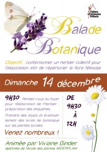 L'association Culture & Patrimoine Félinois vous invite à son rendez-vous mensuel animé par Viviane Binder DIMANCHE 14 DÉCEMBRE 2025 à partir de 9h30 au foyer pour poursuivre la confection d'un herbier répertoriant la flore locale.