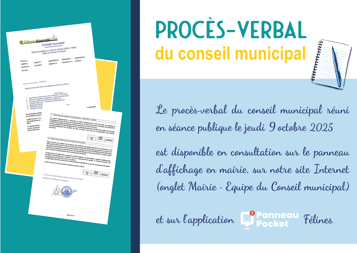 Radio Félines, les dernières infos du 12 décembre 2025