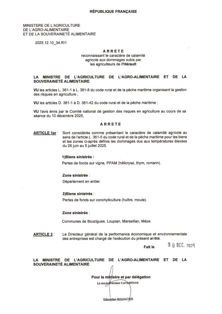 Arrêté ministériel du 30 décembre 2025 portant reconnaissance du caractère de calamité agricole aux dommages subis par les agriculteurs de l’Hérault