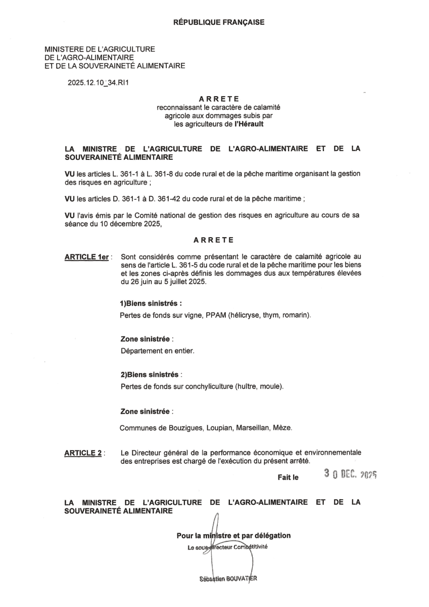 Arrêté ministériel du 30 décembre 2025 portant reconnaissance du caractère de calamité agricole aux dommages subis par les agriculteurs de l’Hérault