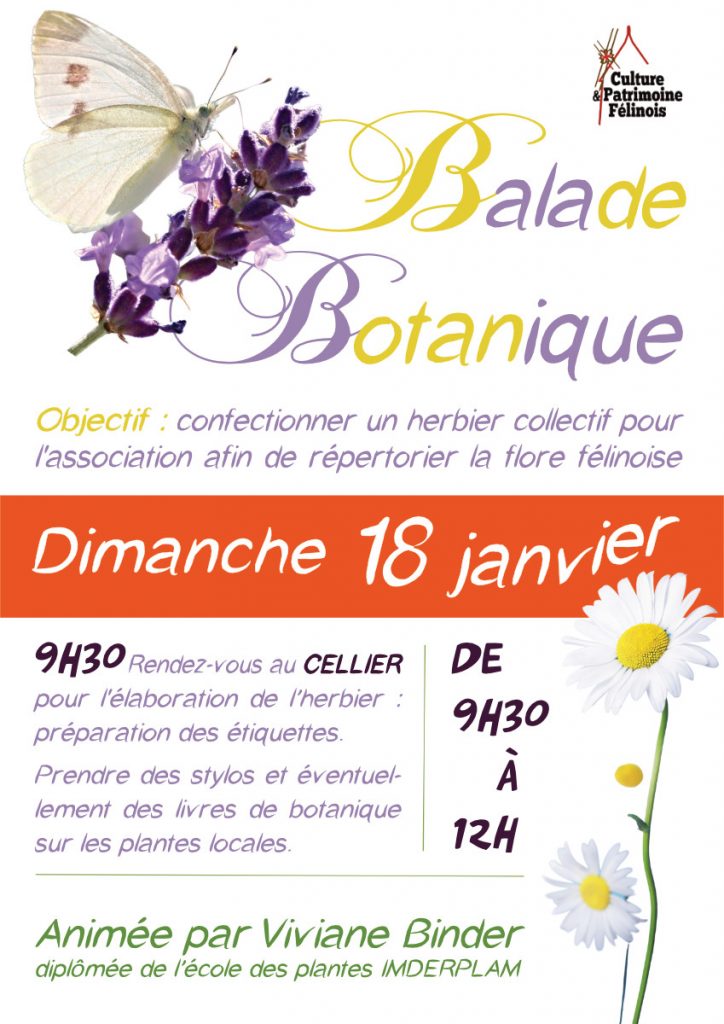 L'association Culture & Patrimoine Félinois vous invite à son rendez-vous mensuel animé par Viviane Binder DIMANCHE 18 JANVIER 2026 à partir de 9h30 au CELLIER pour poursuivre la confection d'un herbier répertoriant la flore locale.