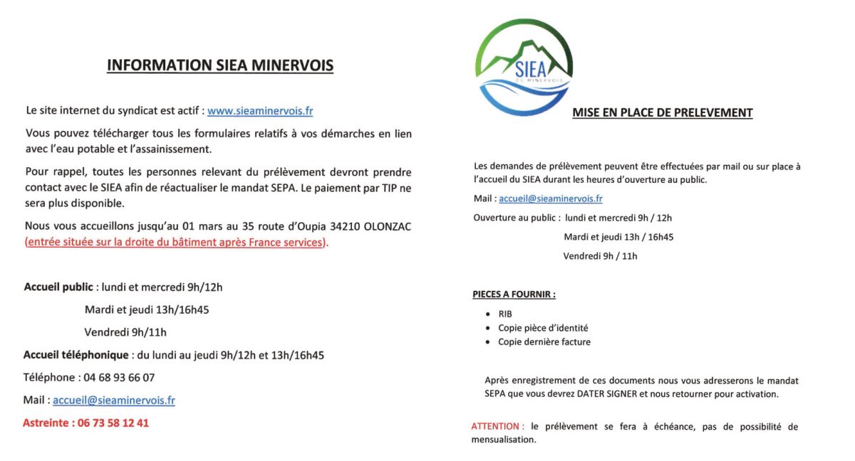 Radio Félines, les dernières infos du 9 janvier 2026