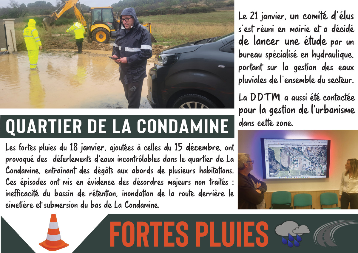 Radio Félines, les dernières infos du 23 janvier