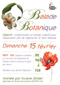 L'association Culture & Patrimoine Félinois vous invite à sa balade botanique mensuelle animée par Viviane Binder DIMANCHE 15 FÉVRIER 2026 à partir de 9h30 pour poursuivre la confection d'un herbier répertoriant la flore locale.