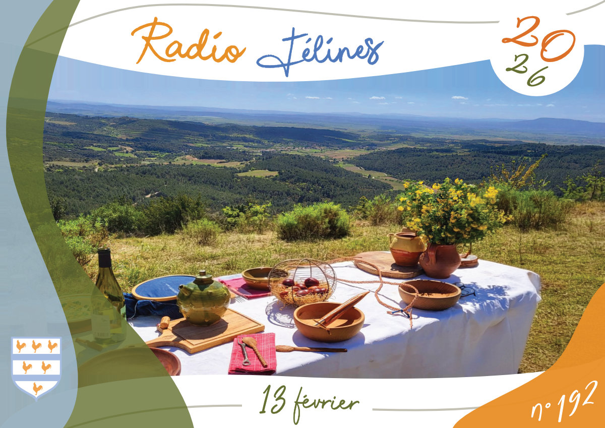 Radio Félines, les dernières infos du 13 février 2026