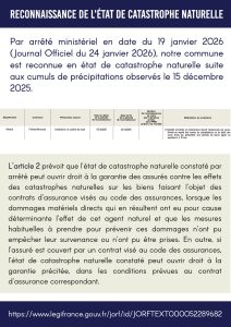 Radio Félines, les dernières infos du 13 février 2026