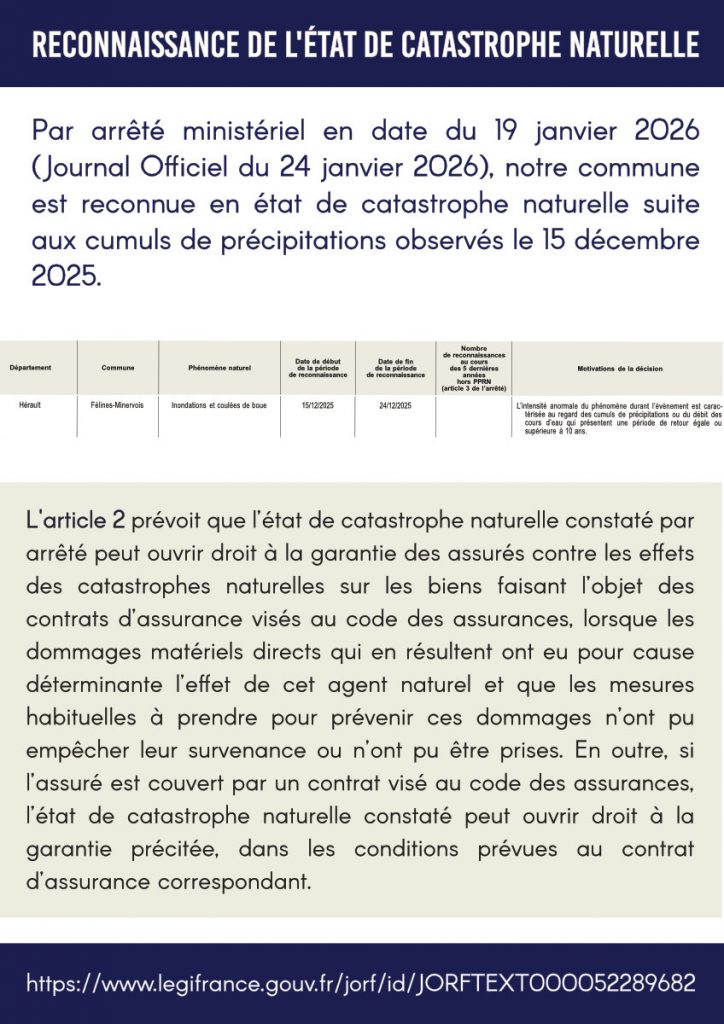 Radio Félines, les dernières infos du 13 février 2026