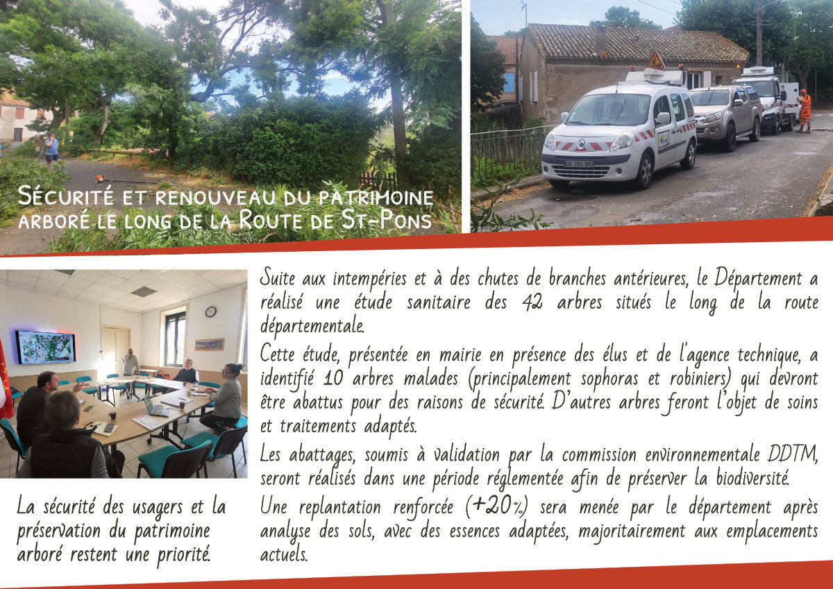 Radio Félines, les dernières infos du 13 février 2026