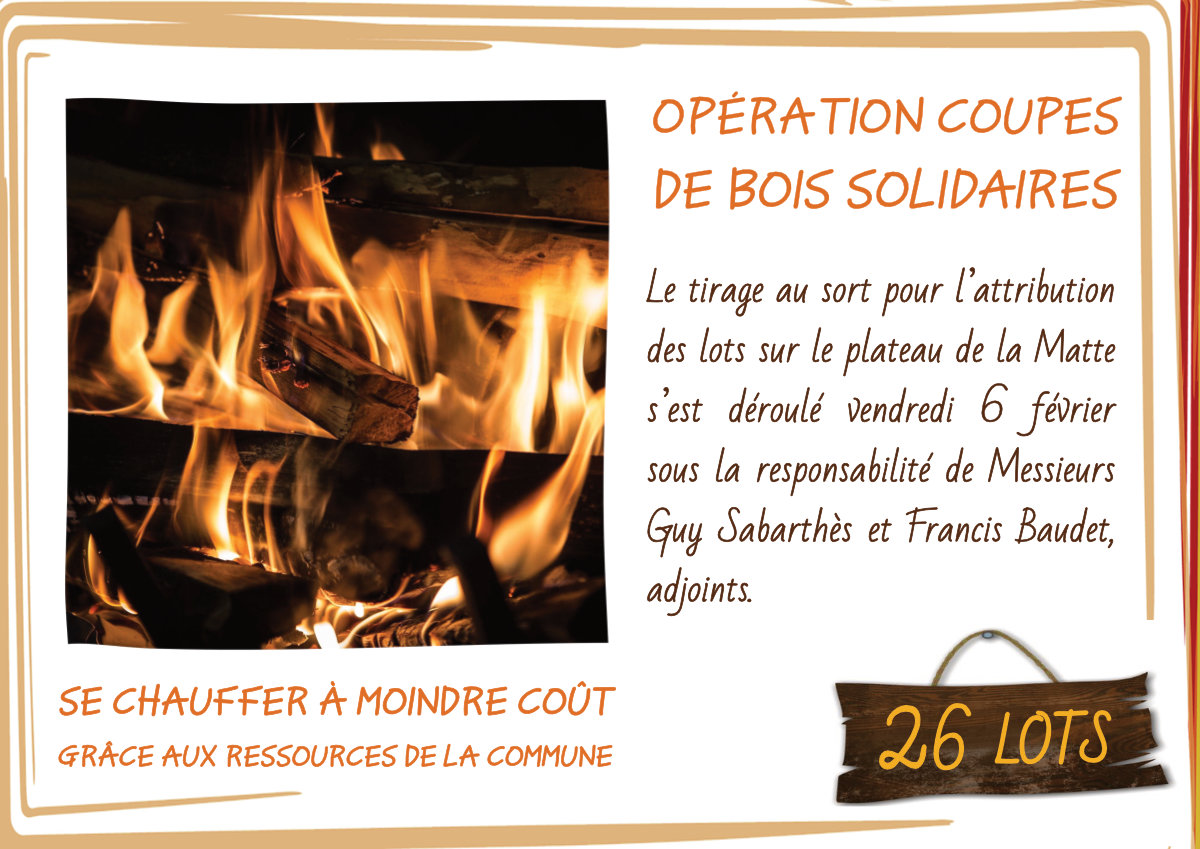 Radio Félines, les dernières infos du 13 février 2026