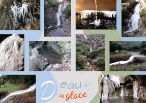 Radio Félines, les dernières infos du 13 février 2026