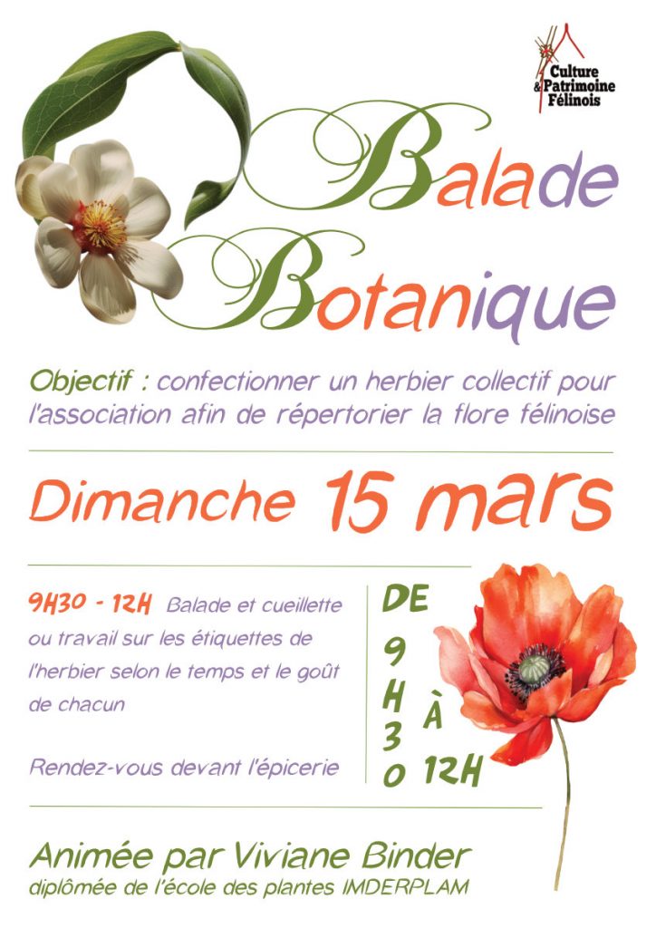 L'association Culture & Patrimoine Félinois vous invite à sa balade botanique mensuelle animée par Viviane Binder DIMANCHE 15 MARS 2026 à partir de 9h30 pour poursuivre la confection d'un herbier répertoriant la flore locale.