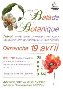 L'association Culture & Patrimoine Félinois vous invite à sa balade botanique mensuelle animée par Viviane Binder DIMANCHE 19 AVRIL 2026 à partir de 9h30 pour poursuivre la confection d'un herbier répertoriant la flore locale.