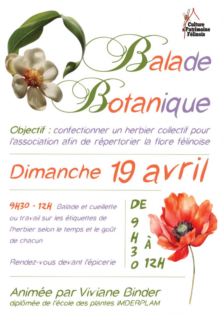 L'association Culture & Patrimoine Félinois vous invite à sa balade botanique mensuelle animée par Viviane Binder DIMANCHE 19 AVRIL 2026 à partir de 9h30 pour poursuivre la confection d'un herbier répertoriant la flore locale.