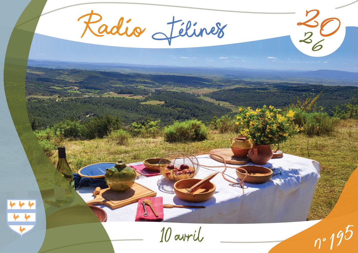Radio Félines, les dernières infos du 10 avril 2026