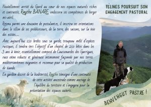 Radio Félines, les dernières infos du 10 avril 2026