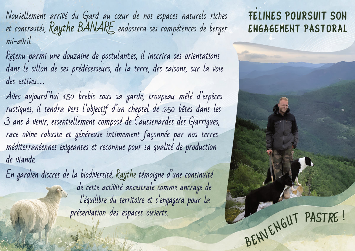 Radio Félines, les dernières infos du 10 avril 2026