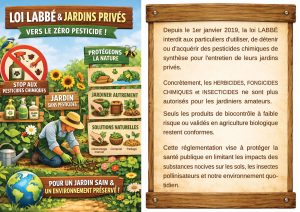 Radio Félines, les dernières infos du 10 avril 2026