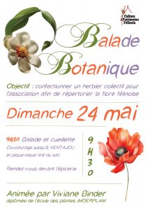 L'association Culture & Patrimoine Félinois vous invite à sa balade botanique mensuelle animée par Viviane Binder DIMANCHE 24 MAI 2026 à partir de 9h30 pour poursuivre la confection d'un herbier répertoriant la flore locale.