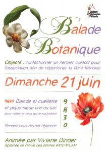 L'association Culture & Patrimoine Félinois vous invite à sa balade botanique mensuelle animée par Viviane Binder DIMANCHE 21 JUIN 2026 à partir de 9h30 pour poursuivre la confection d'un herbier répertoriant la flore locale.