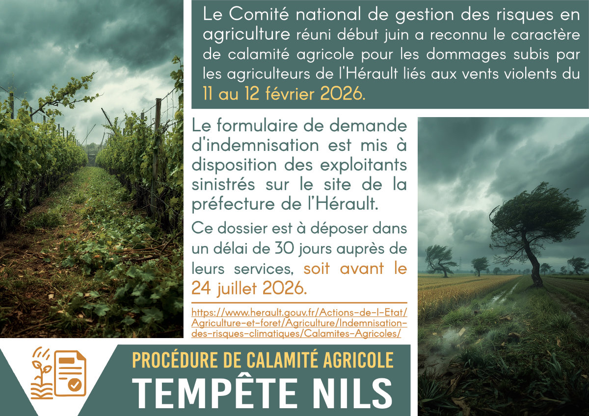 Radio Félines, les dernières infos du 3 juillet 2026