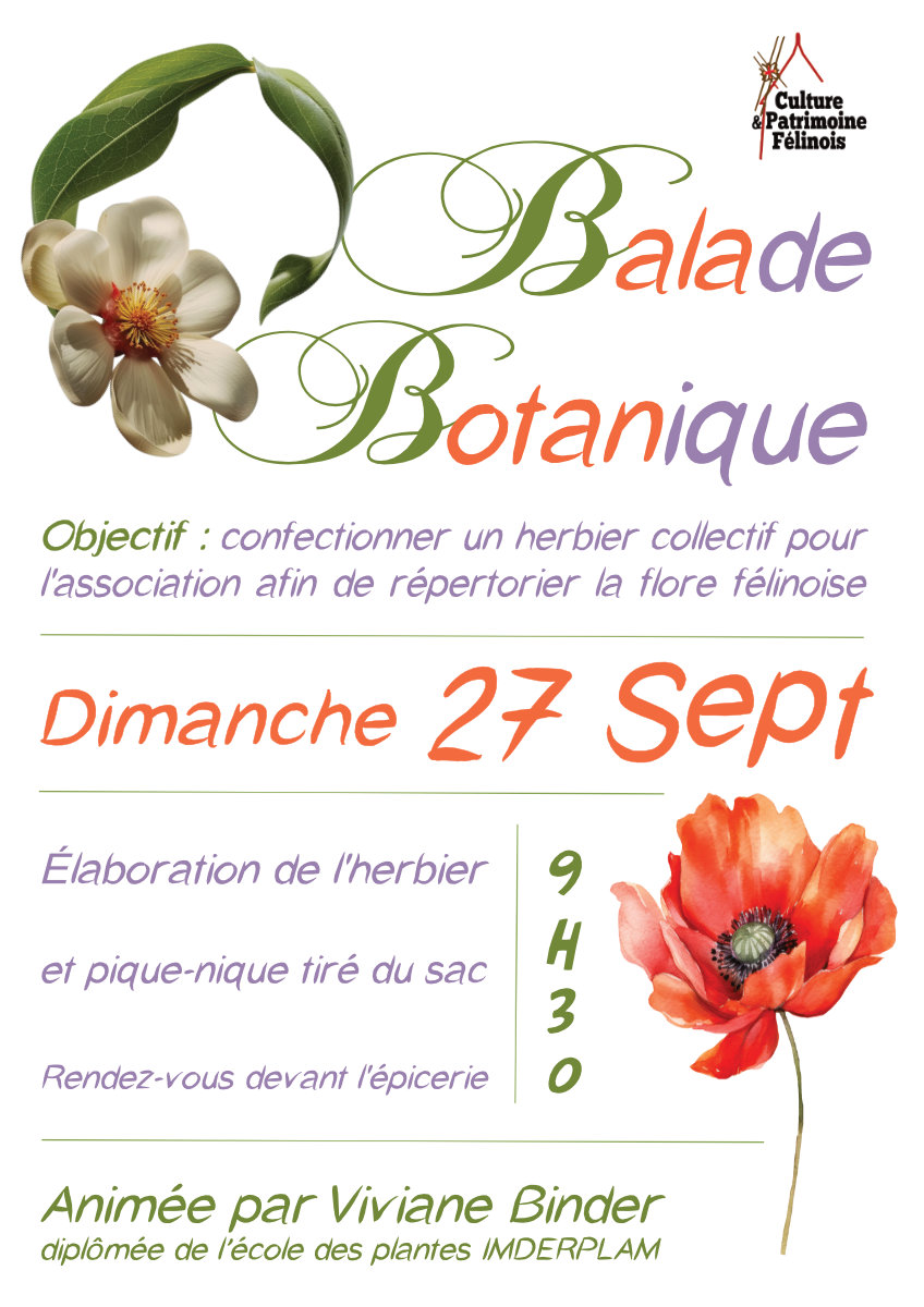 L'association Culture & Patrimoine Félinois vous invite à son rendez-vous mensuel animé par Viviane Binder DIMANCHE 27 SEPTEMBRE 2026 à partir de 9h30 pour poursuivre la confection d'un herbier répertoriant la flore locale.